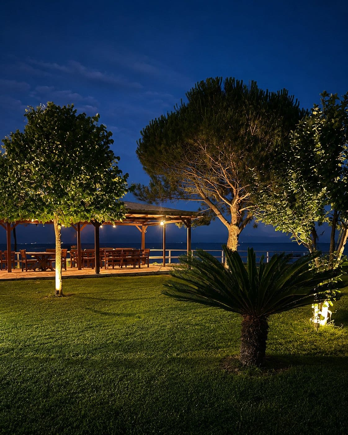 Night view